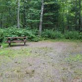 Review photo of Camden Hills State Park Campground by Jean C., October 19, 2018