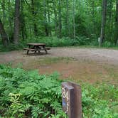 Review photo of Camden Hills State Park Campground by Jean C., October 19, 2018