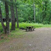 Review photo of Camden Hills State Park Campground by Jean C., October 19, 2018