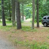 Review photo of Camden Hills State Park Campground by Jean C., October 19, 2018