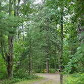 Review photo of Camden Hills State Park Campground by Jean C., October 19, 2018