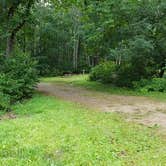 Review photo of Camden Hills State Park Campground by Jean C., October 19, 2018