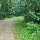 Review photo of Camden Hills State Park Campground by Jean C., October 19, 2018