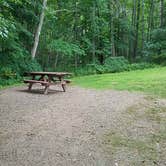 Review photo of Camden Hills State Park Campground by Jean C., October 19, 2018