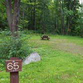 Review photo of Camden Hills State Park Campground by Jean C., October 19, 2018