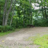 Review photo of Camden Hills State Park Campground by Jean C., October 19, 2018