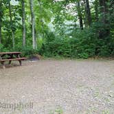 Review photo of Camden Hills State Park Campground by Jean C., October 19, 2018