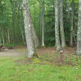 Review photo of Camden Hills State Park Campground by Jean C., October 19, 2018