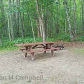 Review photo of Camden Hills State Park Campground by Jean C., October 19, 2018