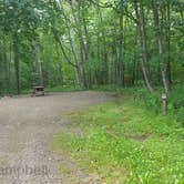 Review photo of Camden Hills State Park Campground by Jean C., October 19, 2018