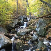 Review photo of Crabtree Falls Campground by Sam M., October 19, 2018