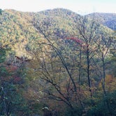 Review photo of Crabtree Falls Campground by Sam M., October 19, 2018