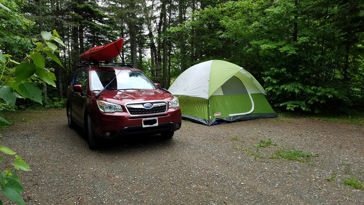 Camper submitted image from Moosehead Family Campground - 5