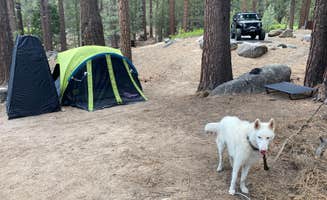 kaela L.'s photo at Grover Hot Springs State Park Campground near Wellington, NV