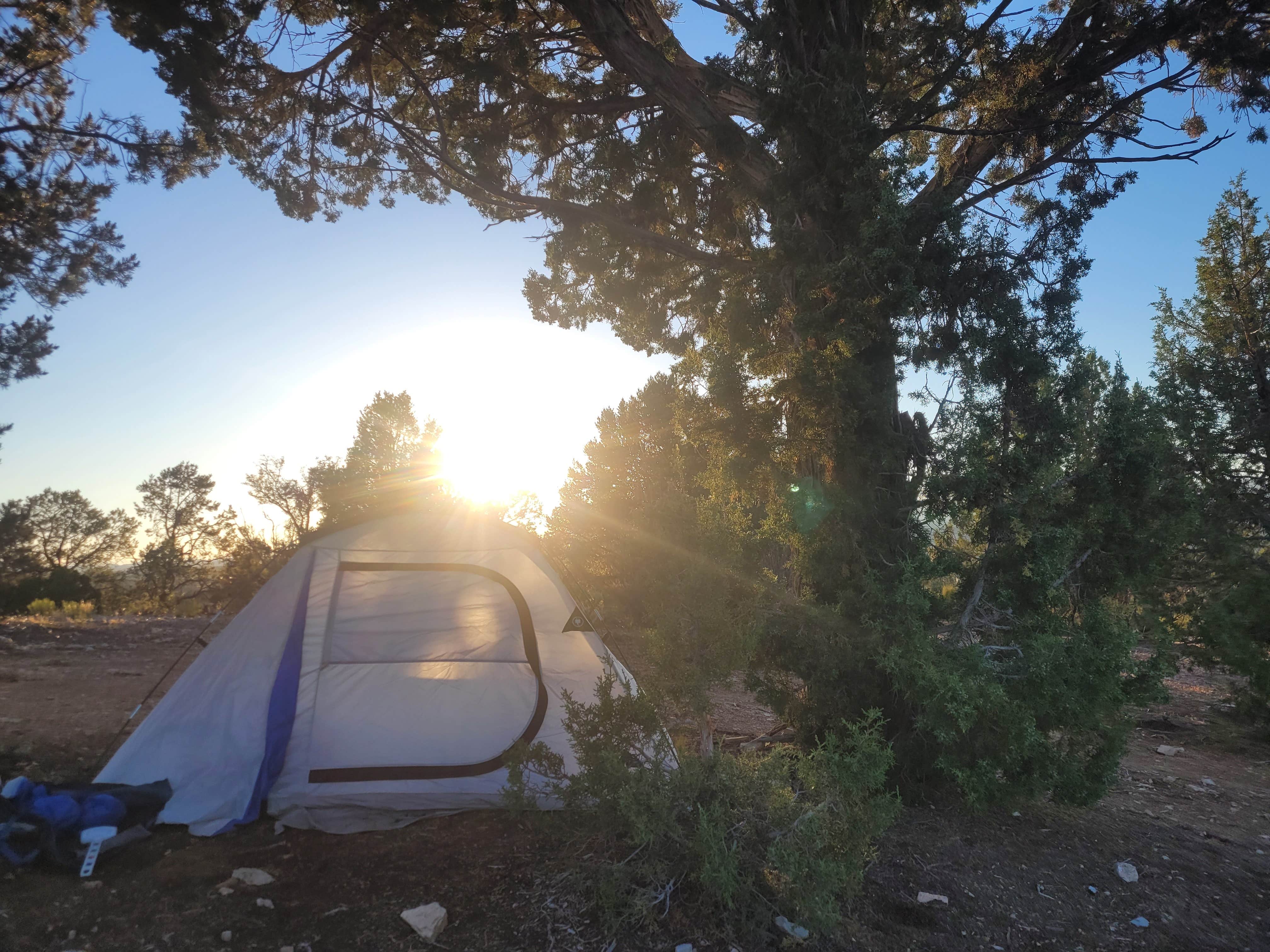 Respect V.'s photo of a dispersed camping area at Old Highway 89 Dispersed BLM Site near Orderville, UT