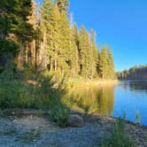 Review photo of Lower Bucks Campground by Renee A., June 27, 2023