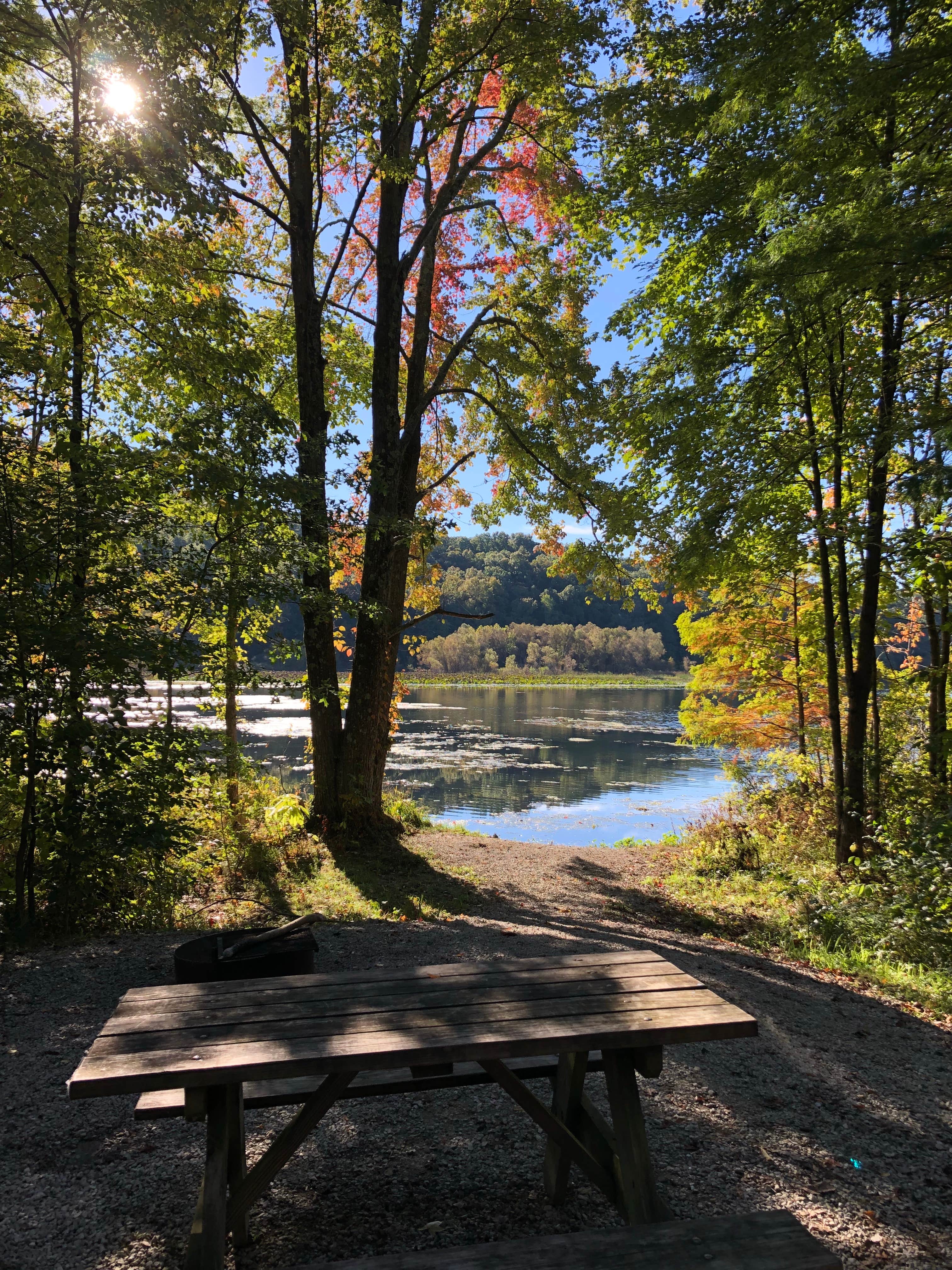 Camper submitted image from Starve Hollow State Rec Area - 3