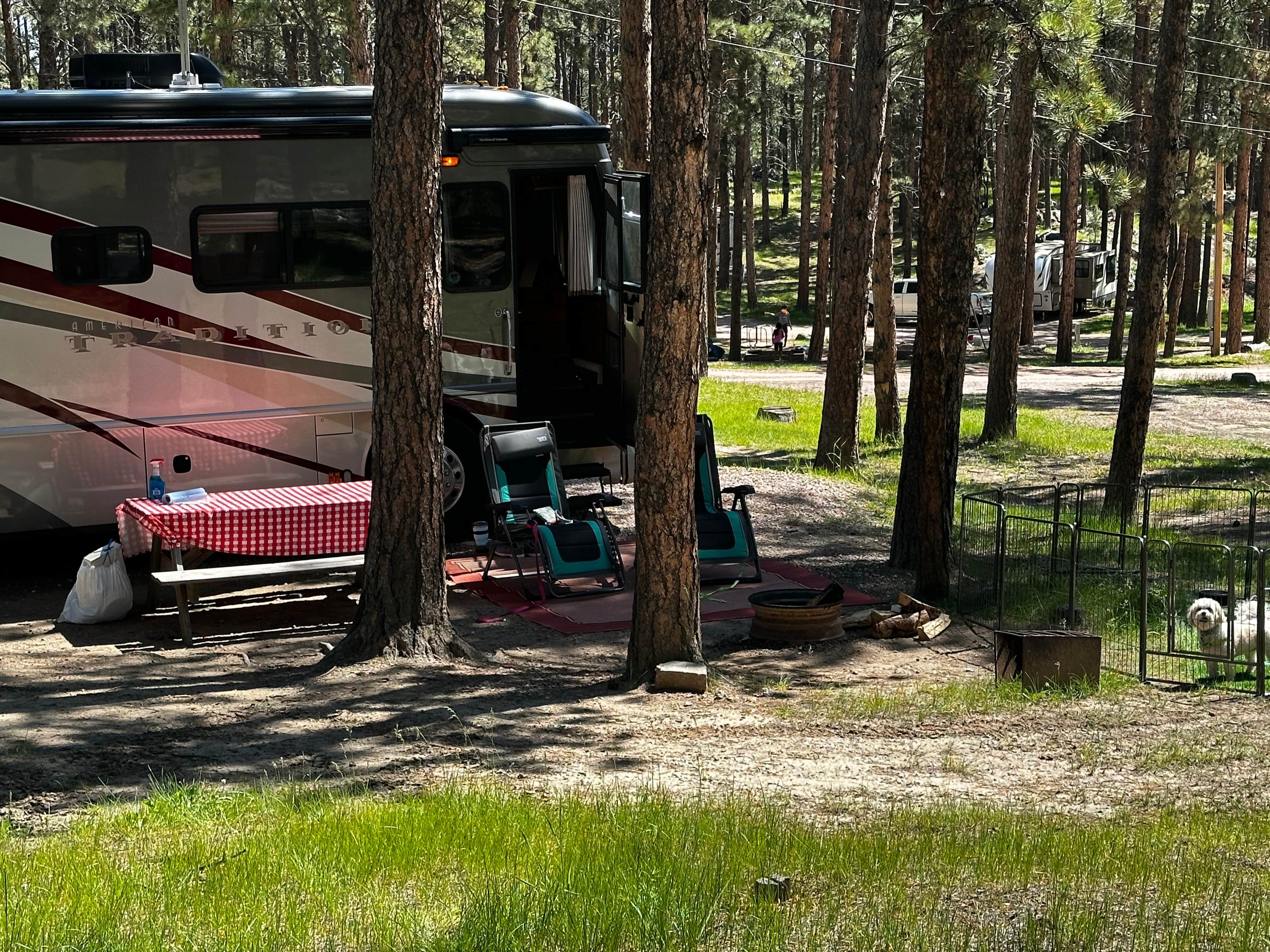 drillnpick's photo at Big Pine Campground near Pringle, SD