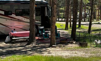 drillnpick's photo of camping with pets at Big Pine Campground near Custer, SD