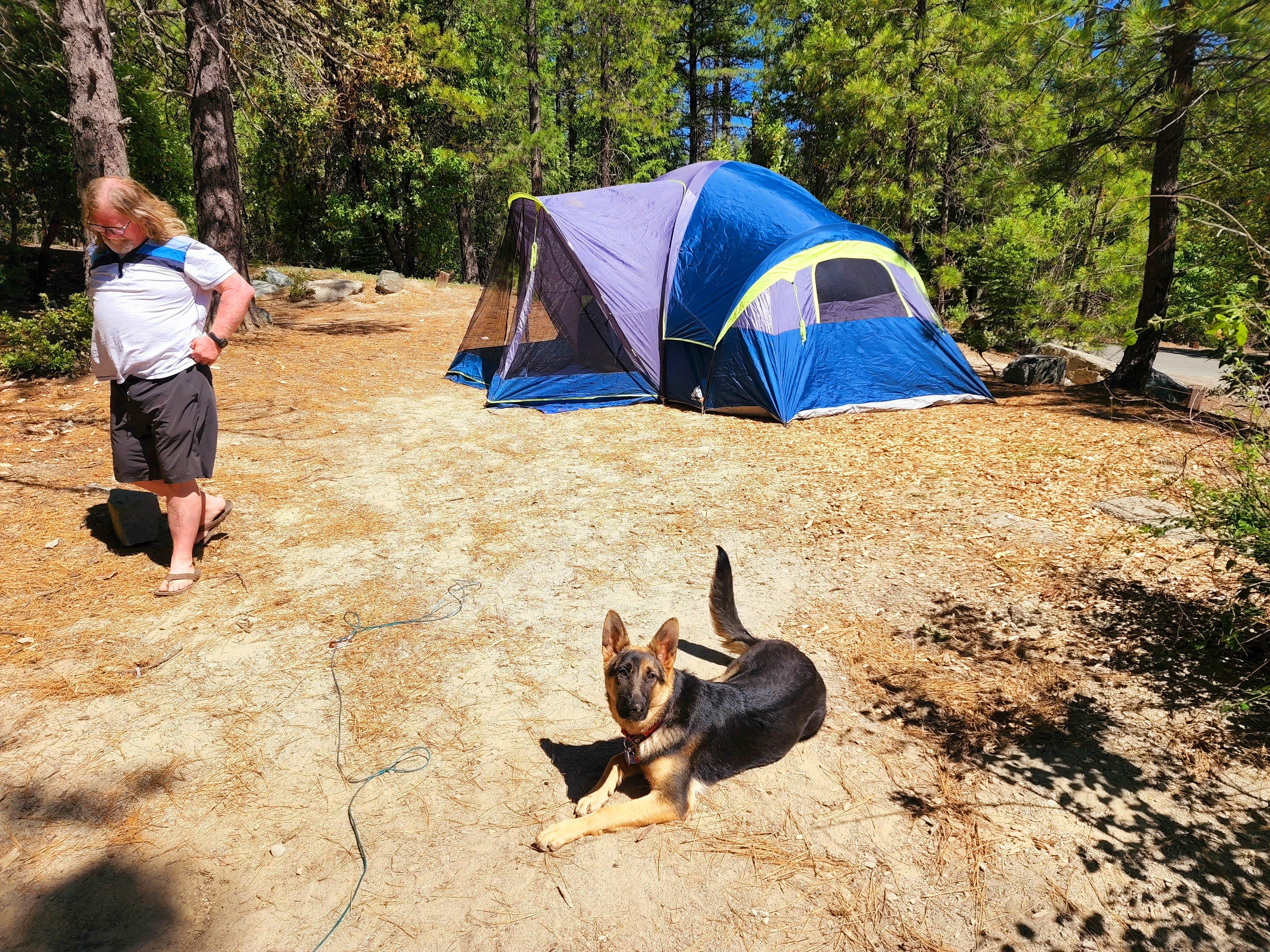 Camper-submitted photo at Sly Creek Campground near Berry Creek, CA