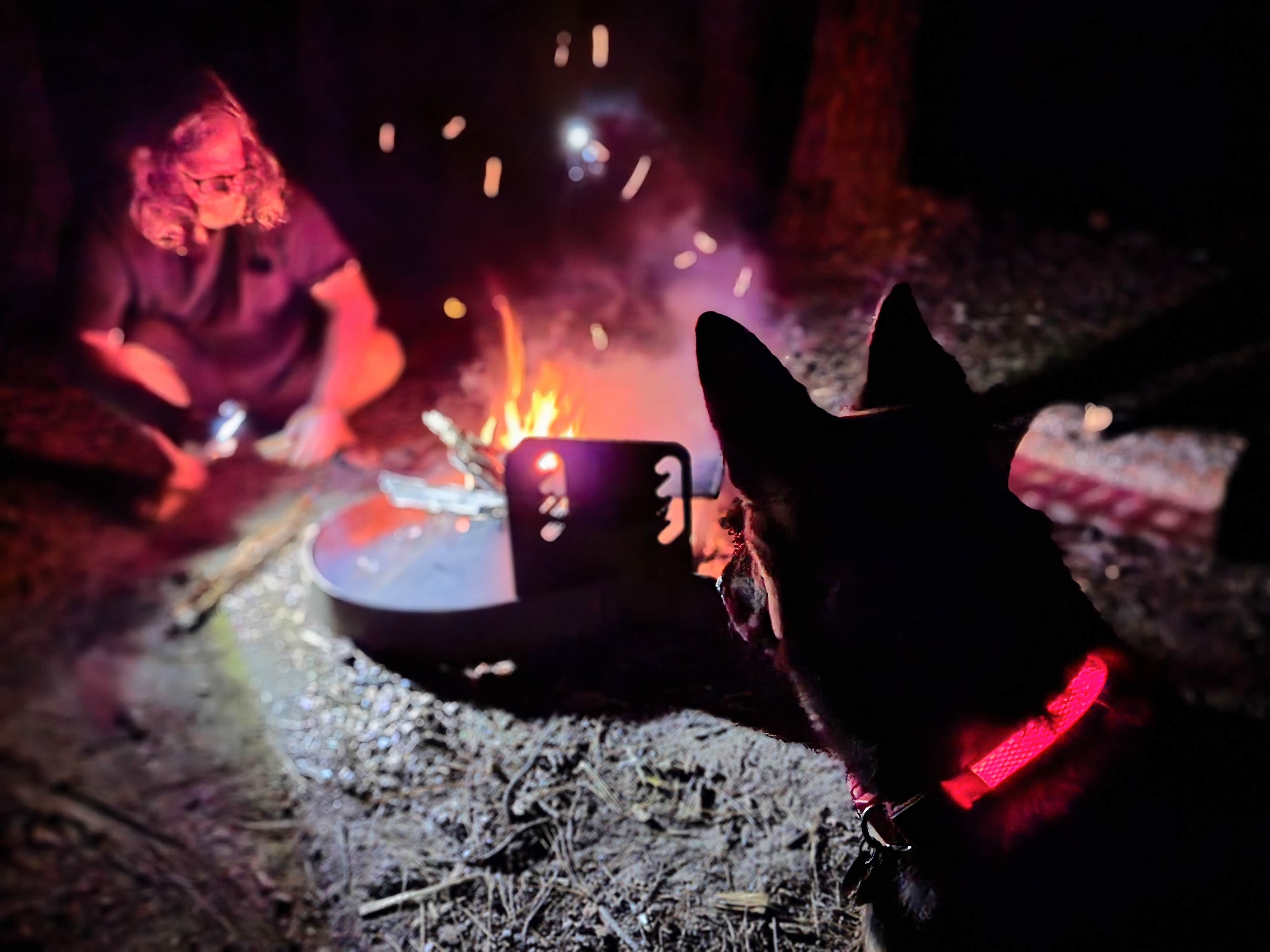 Camping near Horse Campground: Sly Creek Campground, Strawberry Valley, California
