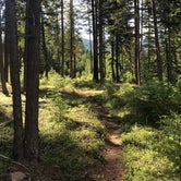 Review photo of Meadow Creek Campground by Michael T G., June 27, 2023