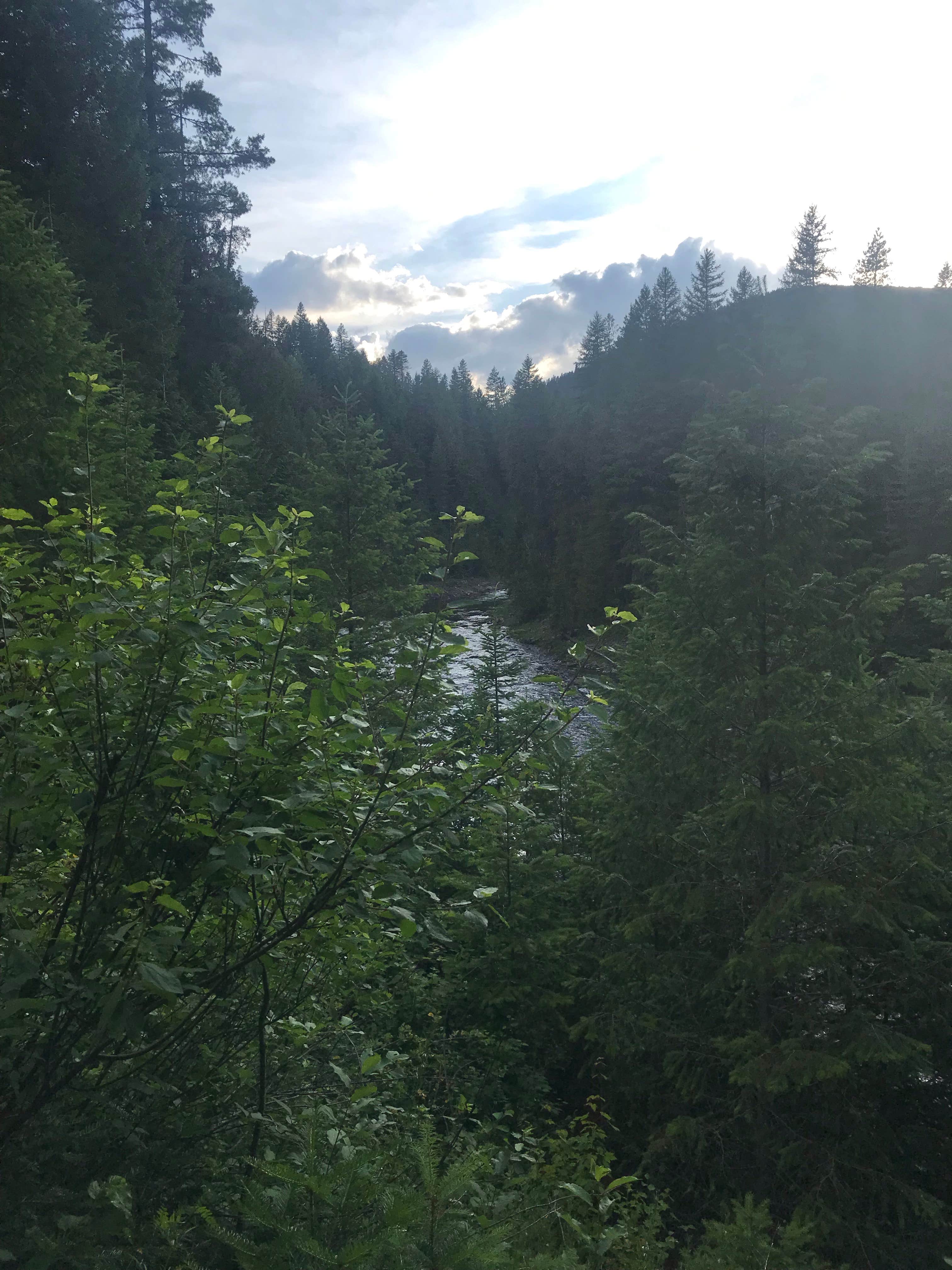 Camper-submitted photo at Meadow Creek Campground near Bonners Ferry, ID