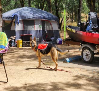 Camper-submitted photo from Loafer Creek Horse & Group Camps — Lake Oroville State Recreation Area