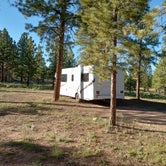 Review photo of Tom Best Spring Road FR117 Dispersed - Dixie National Forest by Chris S., June 27, 2023