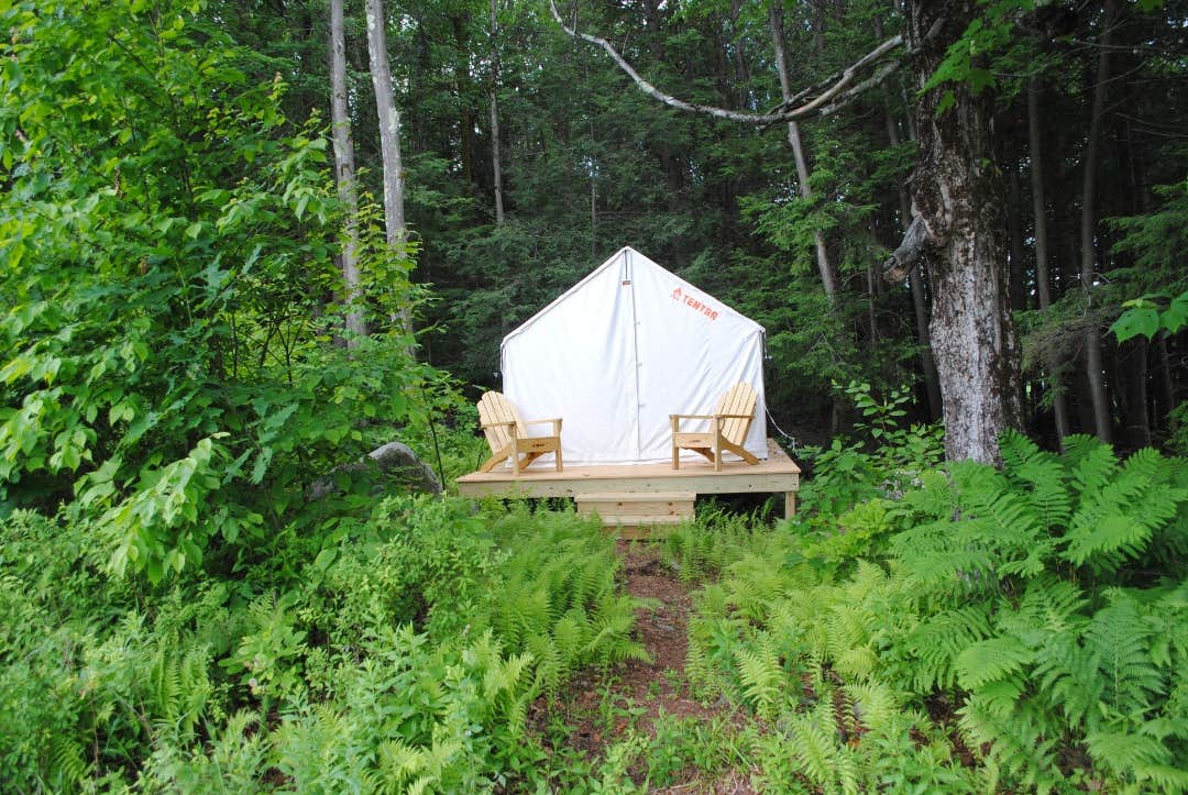 The Dyrt's photo at Tentrr Signature Site - Maple Corner Farm's Berry Patch Site near Monterey, MA