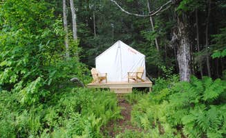 The Dyrt's photo at Tentrr Signature Site - Maple Corner Farm's Berry Patch Site near North Canton, CT