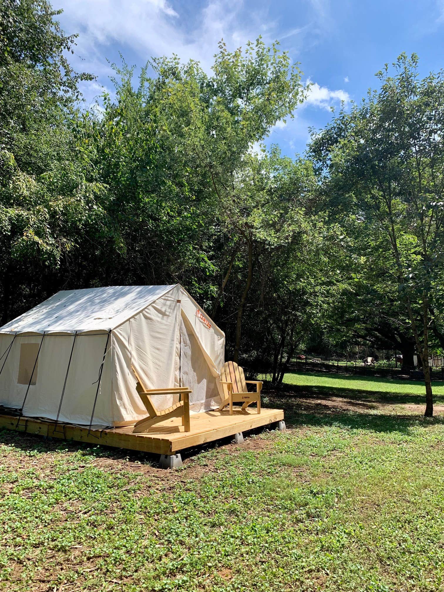 The Dyrt's photo at Tentrr Signature Site - Fairytale Farm Sanctuary Campsite near Lewisville, NC