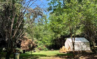 The Dyrt's photo at Tentrr Signature Site - Fairytale Farm Sanctuary Campsite near Reidsville, NC