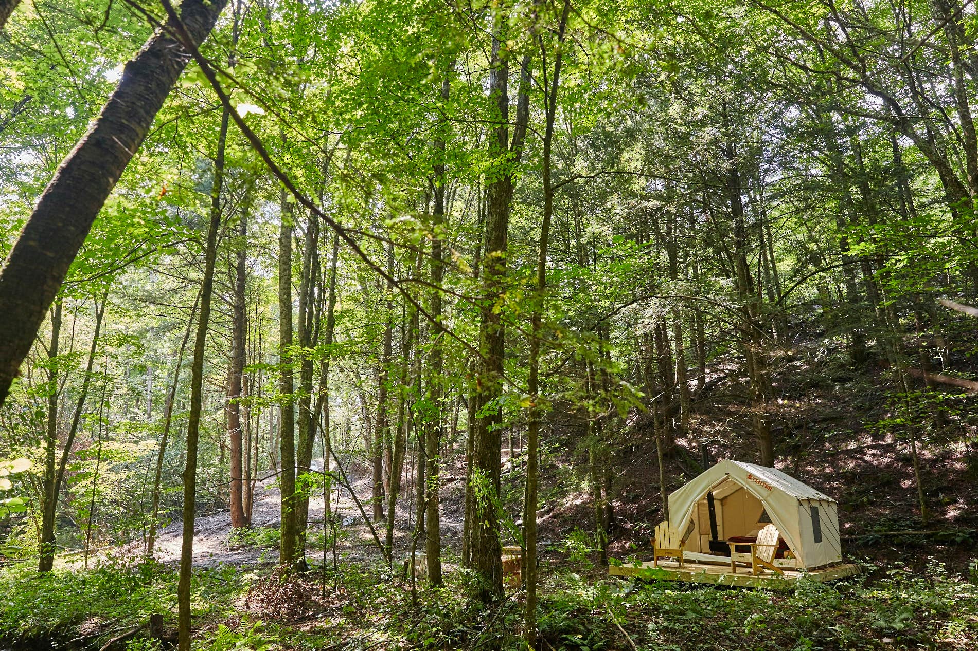 The Dyrt's photo at Tentrr Signature Site - Huntley Hollow Brook near Downsville, NY