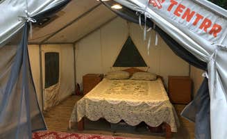 The Dyrt's photo at Tentrr Signature Site - Hillside Haven near Vernon, VT