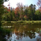 Review photo of Lazy Frog Campground by Ricki F., October 19, 2018