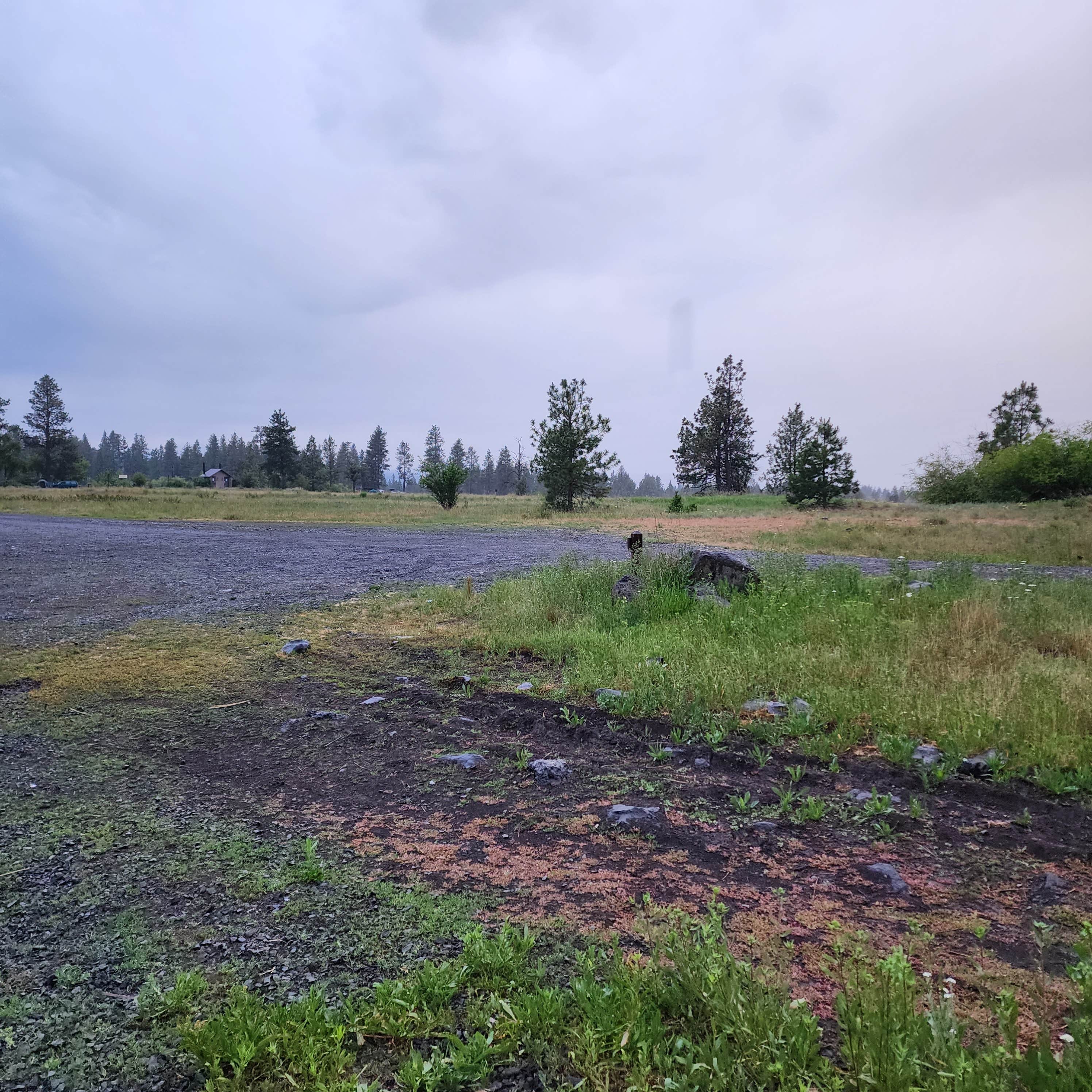 brian's photo of camping with pets at Morgan Lake - TEMPORARILY CLOSED near La Grande, OR