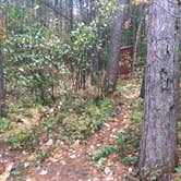 Review photo of Jones Pond Campground by Madison W., October 19, 2018