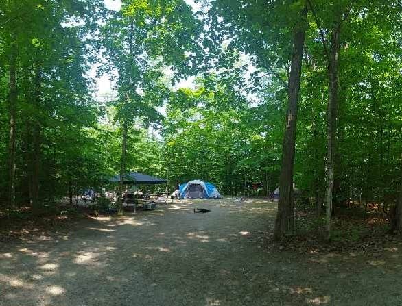 Camper submitted image from Twin Lakes State Forest Campground - 1