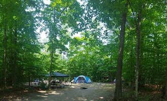 Camping near Island Good: Twin Lakes State Forest Campground, Cheboygan, Michigan