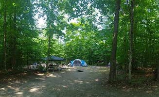 Rebekah J.'s photo at Twin Lakes State Forest Campground near Mullett Lake, MI
