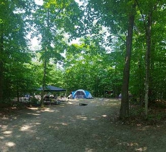Camper-submitted photo from Twin Lakes State Forest Campground