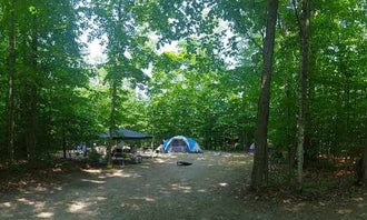Twin Lakes State Forest Campground