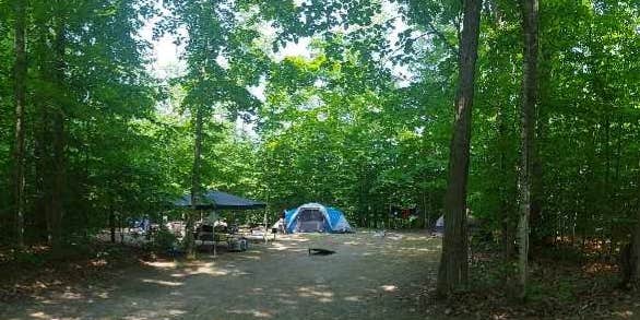 Camper submitted image from Twin Lakes State Forest Campground
