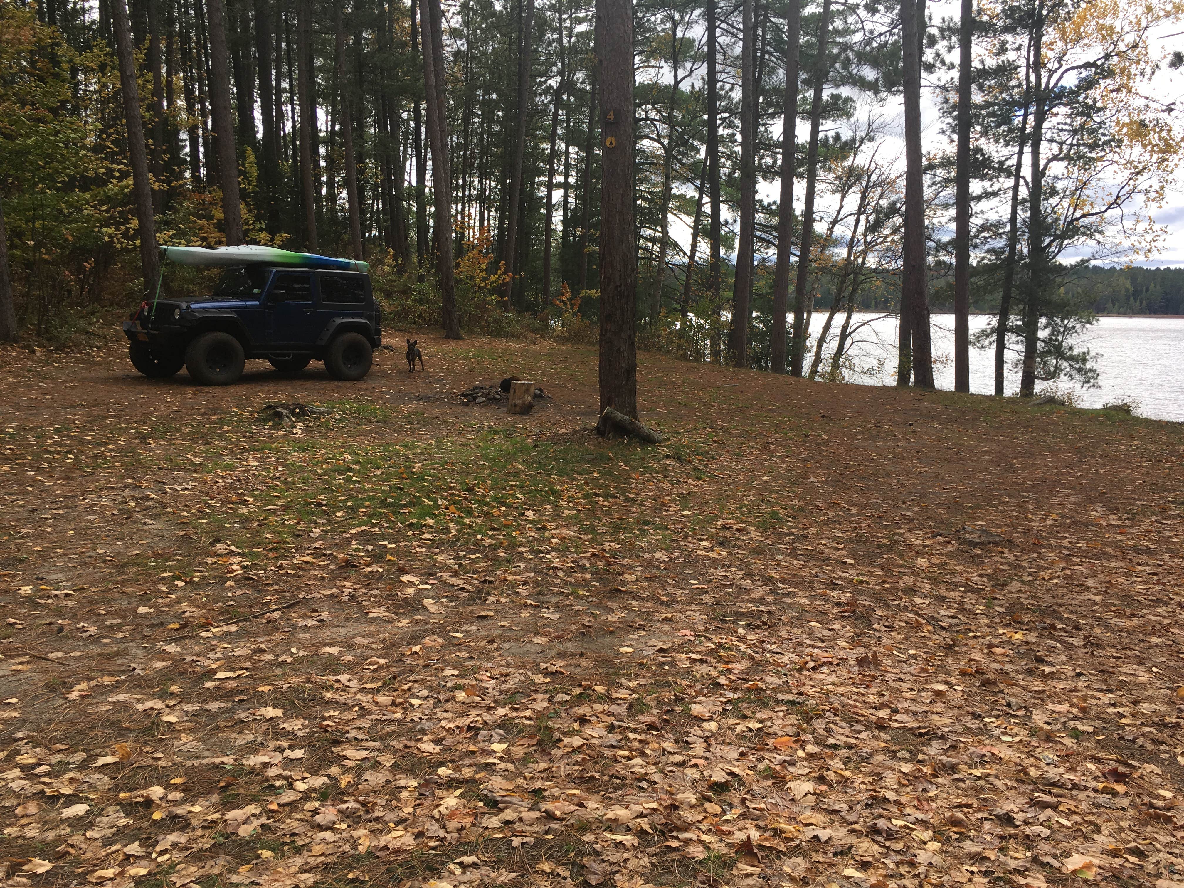 Camper submitted image from Jones Pond Campground - 3