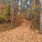 Review photo of Jones Pond Campground by Madison W., October 19, 2018