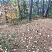 Review photo of Jones Pond Campground by Madison W., October 19, 2018