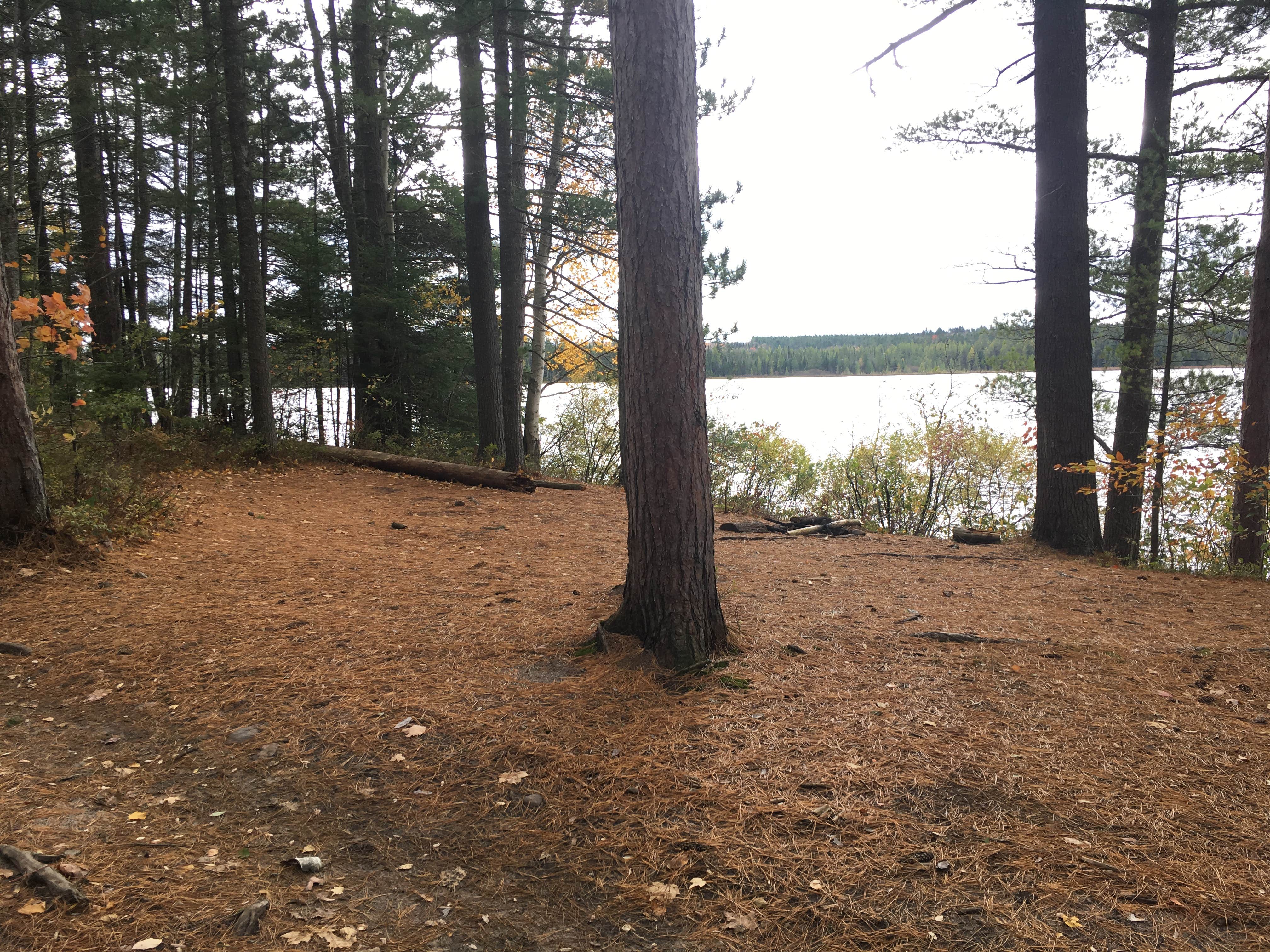 Camper-submitted photo at Jones Pond Campground near Portageville, NY