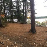 Review photo of Jones Pond Campground by Madison W., October 19, 2018