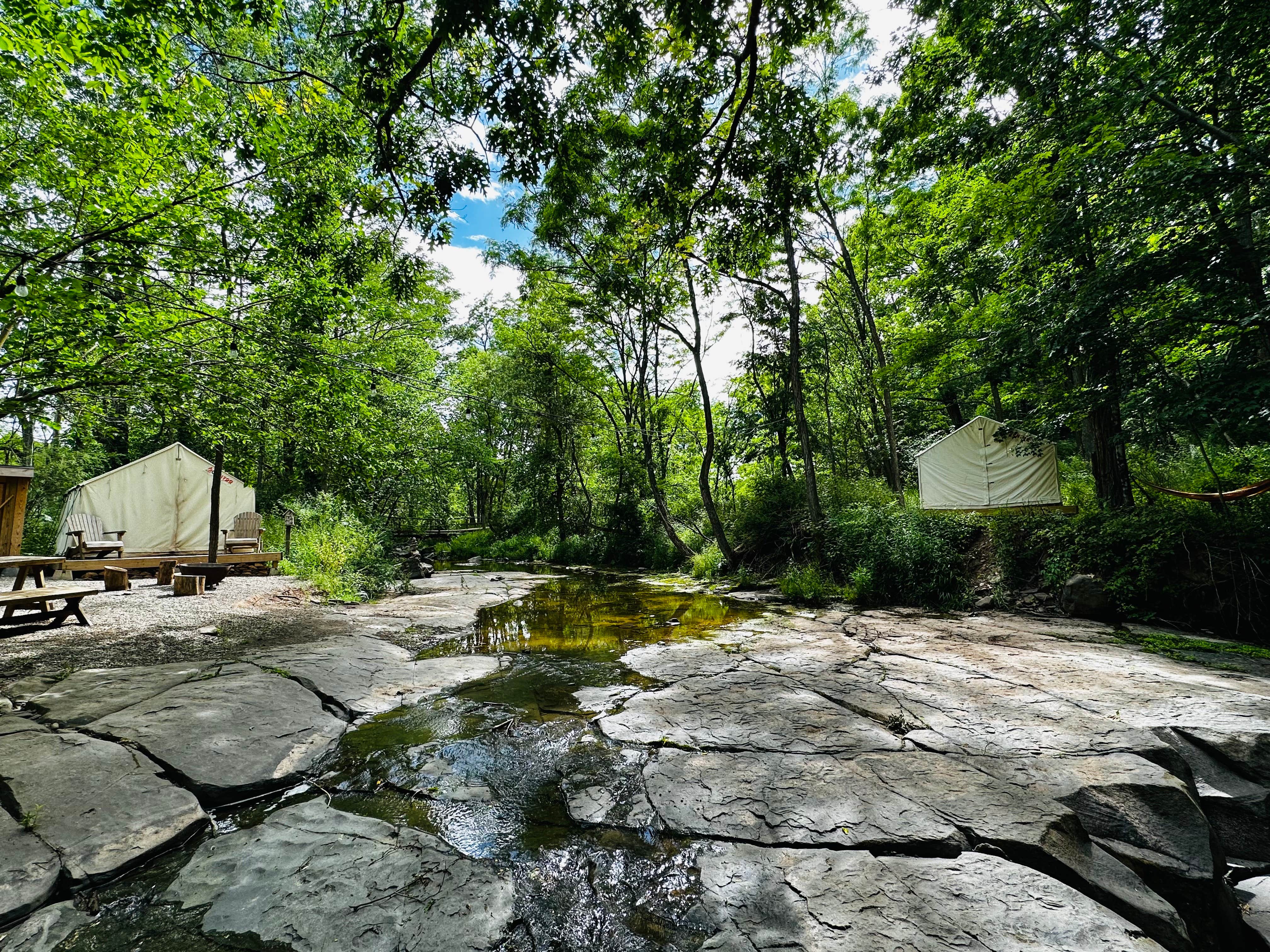 The Dyrt's photo at Tentrr Signature Site - Locust Grove near Ashland, NY
